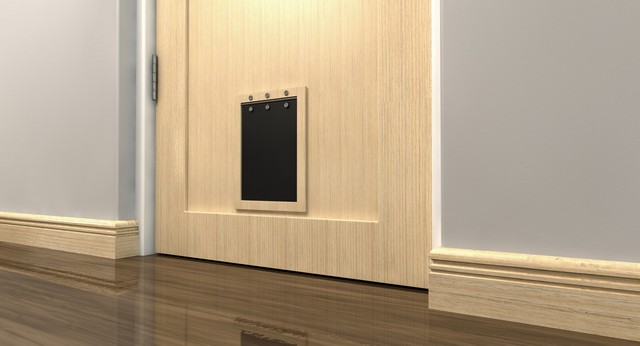 Cat Flap Installation Sunbury-on-Thames, TW16