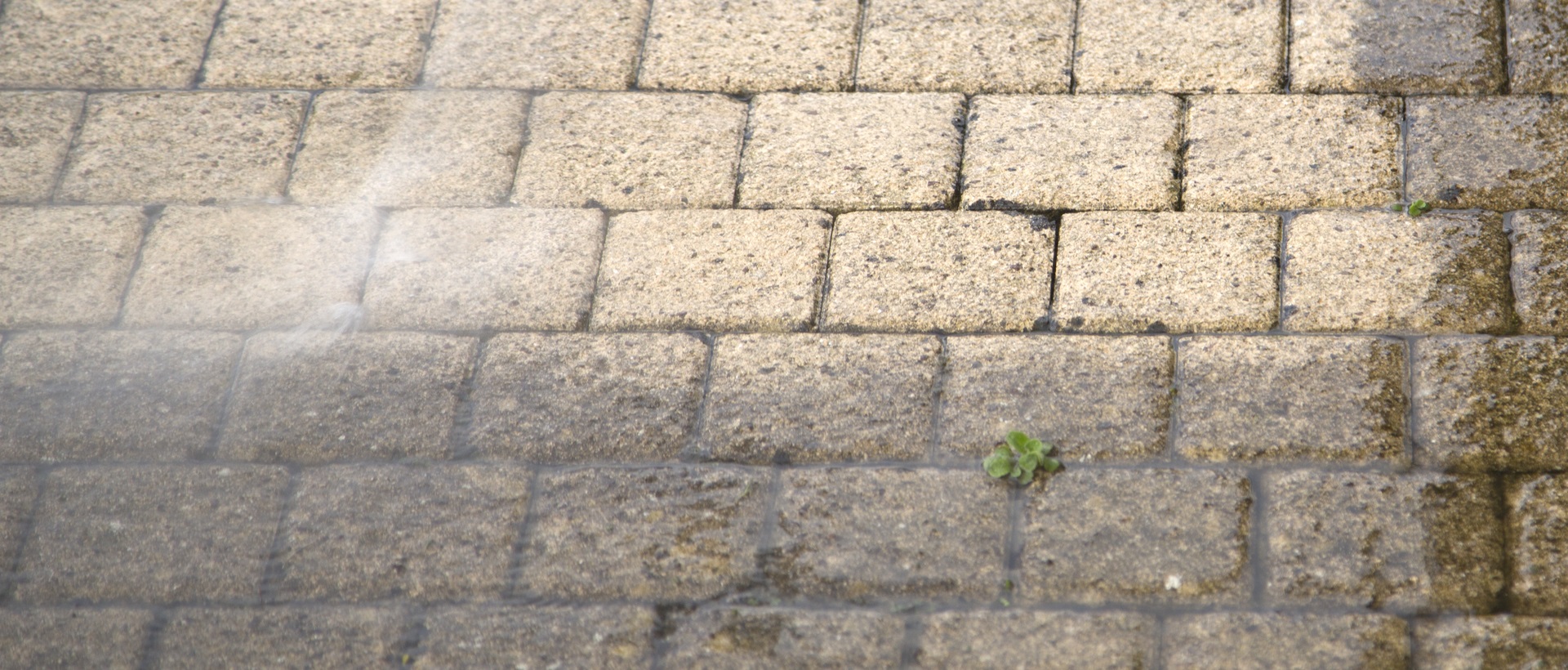 flagging and patios TW16