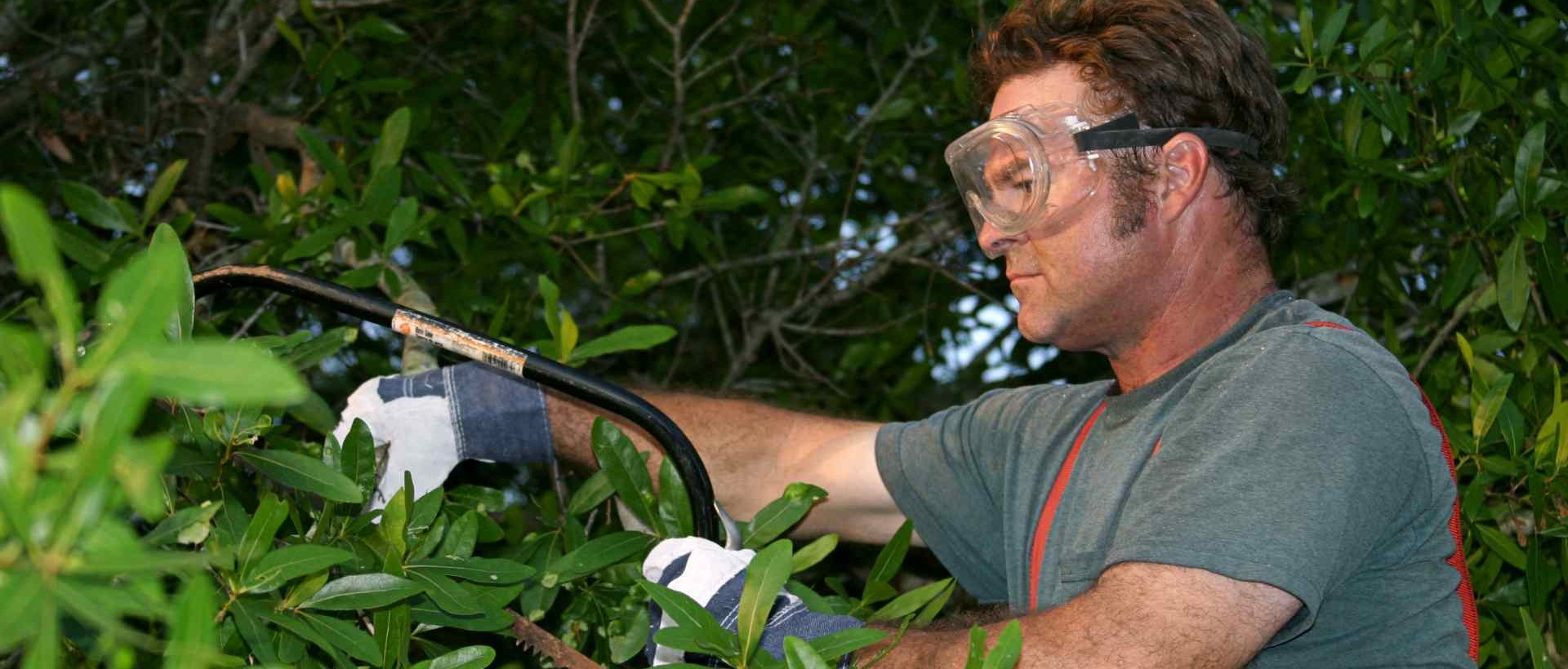 garden clearance TW16